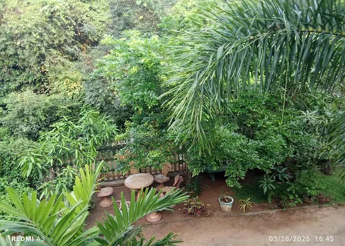 Jungle View Guest