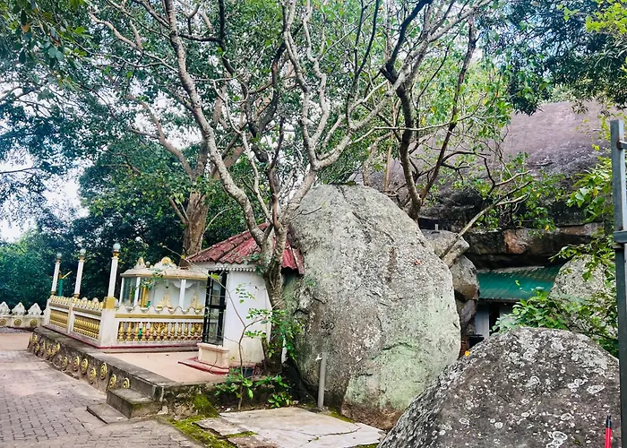 Wild Blossom Sigiriya