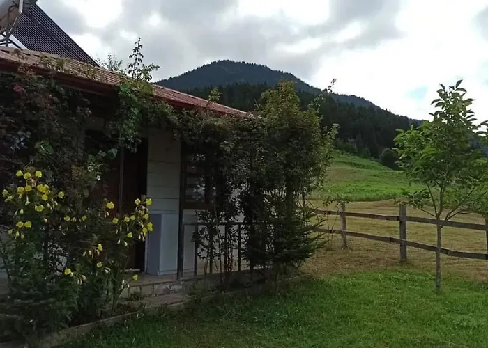 Yavuzyilmaz Tesisleri