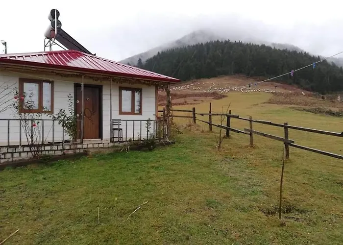 Yavuzyilmaz Tesisleri