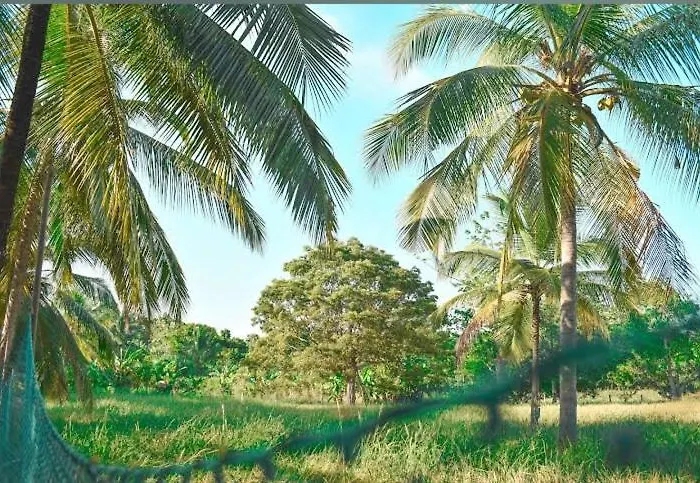 Kaluwarakanda Village Tours & Safari