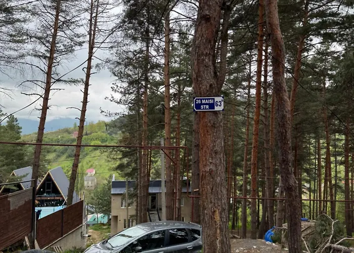 Evergreen Surami Hotel