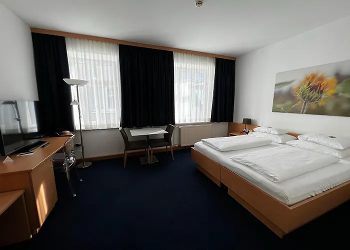 H+ Hotel Ried