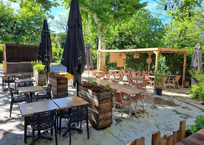 Logis Hotel Restaurant Les Platanes