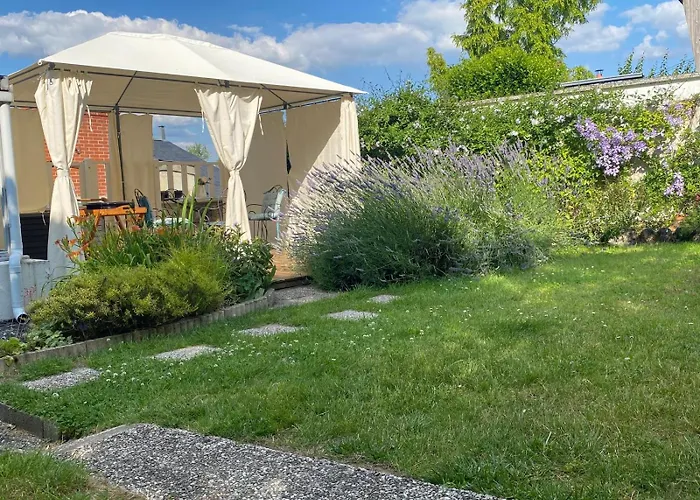Bulle D évidence