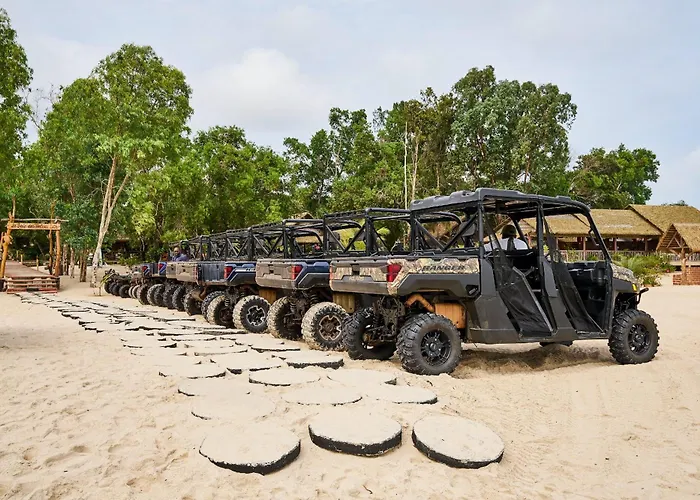 La Baie des Tortues Luth