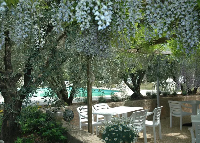 Olivier Hôtel