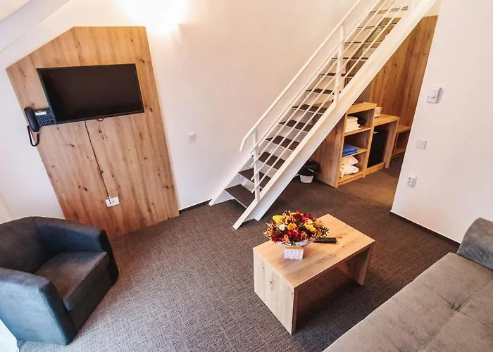 Hotel Domnitei