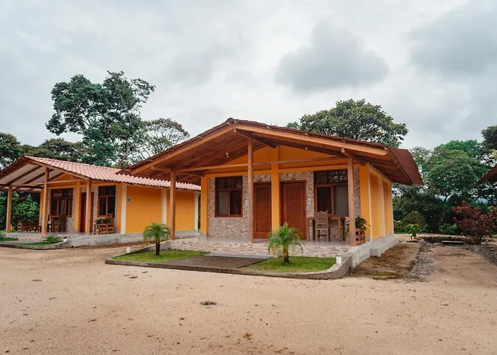 Eco Arazzá