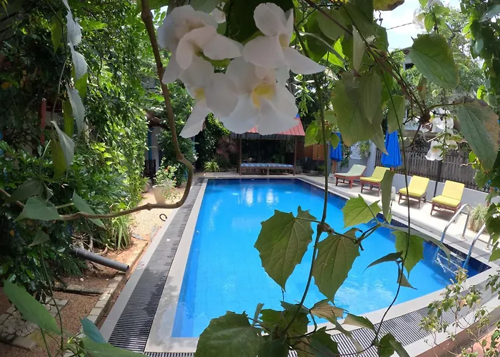 Mirissa Blue Whale Holiday Hotel