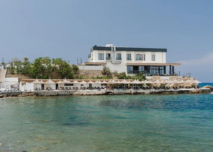 Shayna Beach Club