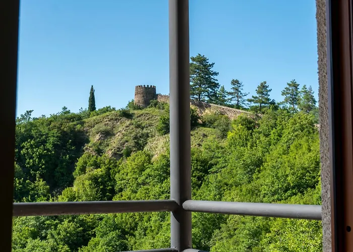 Sighnaghi Hotel Fence Door&Сигнахи Отель Ворота Крепости&Სიღნაღი Სასტუმრო Გალავნის Კარი