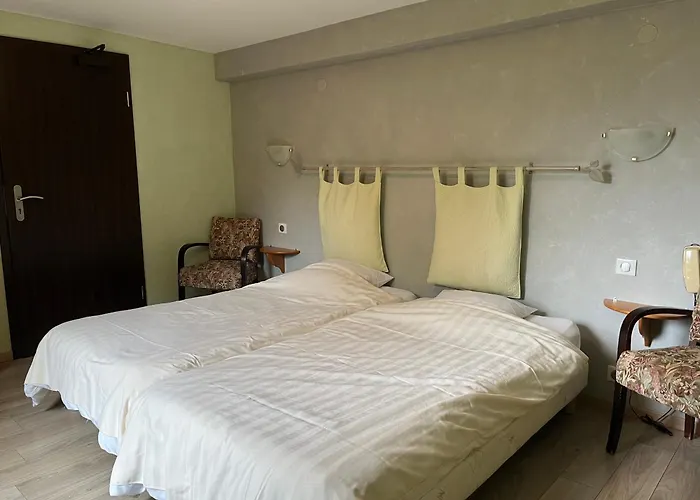 Logis Hotel Les Vosges