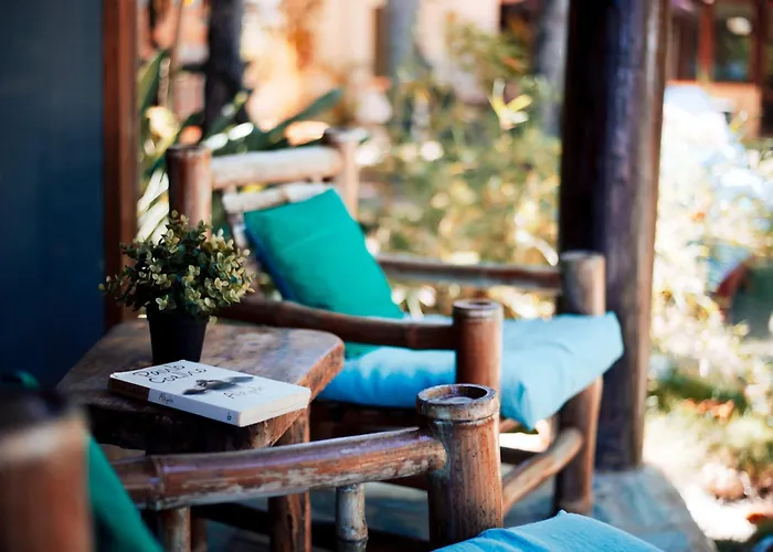 Cabarete Maravilla Ecolodge Encuentro Surf Beach Kite Perla Marina Btcg Crypto