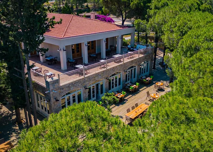 Kairos Valley Wellness & Longevity