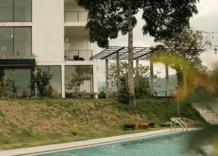 The Aurelia