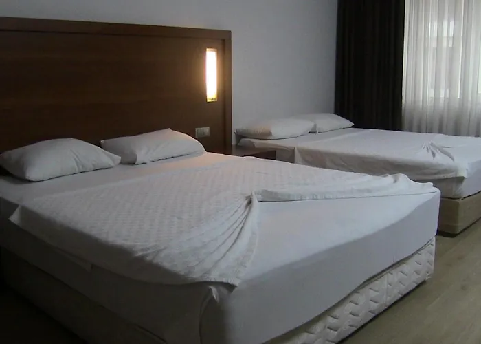 Paluri Otel Hopa
