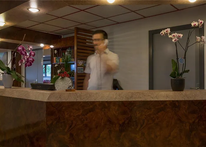 Og City Hotel Amys Tarbes Sud
