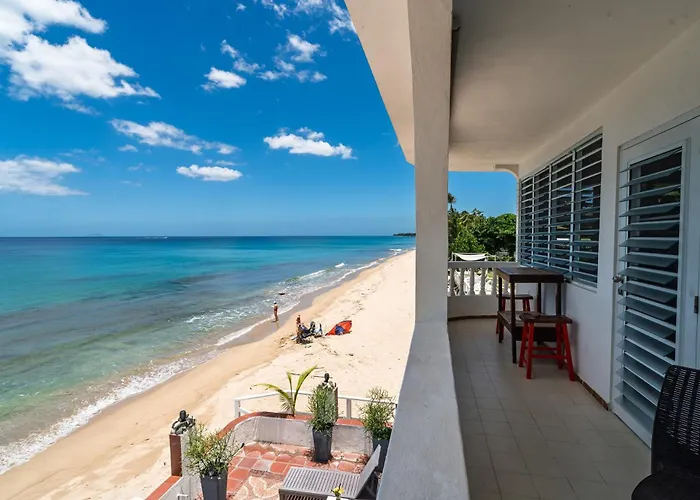 Coconut Palms Rincon