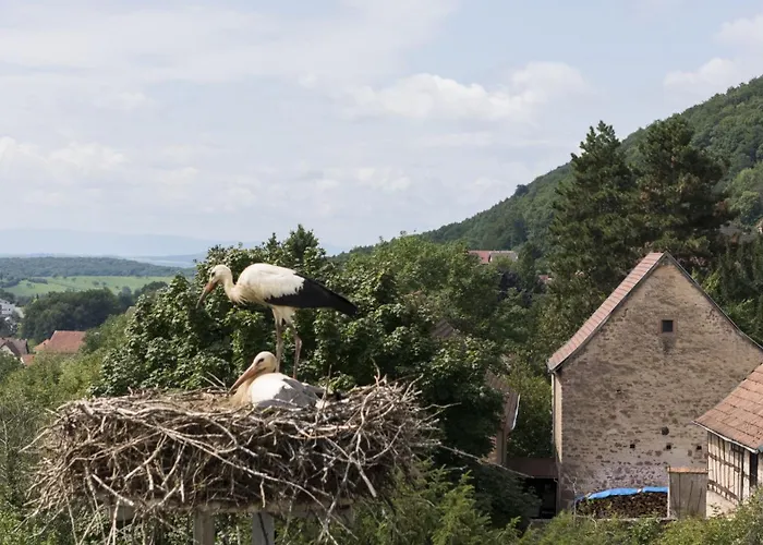 Hôtellerie du Couvent Oberbronn