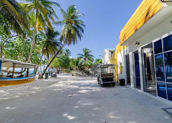 Velaavani - Turtle Hive Dhiffushi