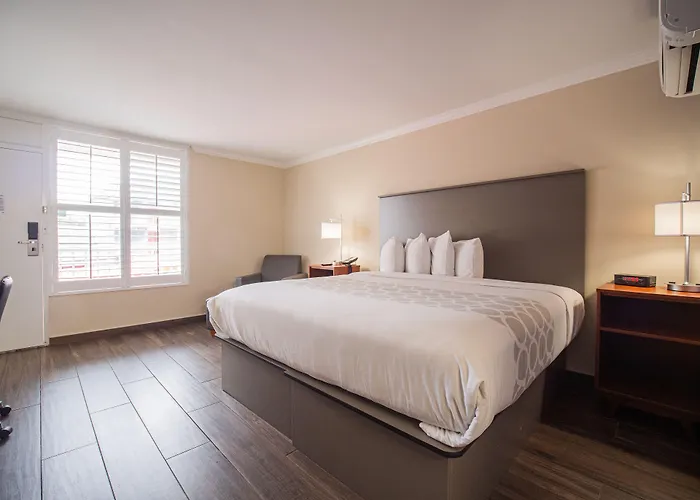 Equus Inn I75