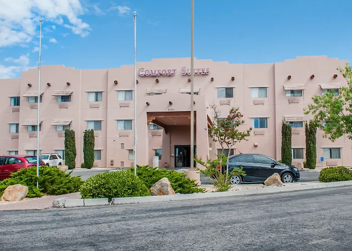 Comfort Suites University