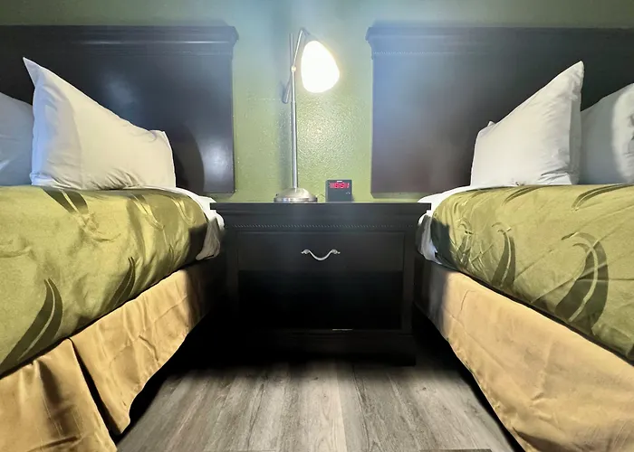 Quality Inn & Suites Alexandria
