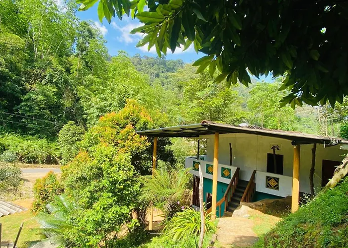 Sinharaja Retreat Hotel