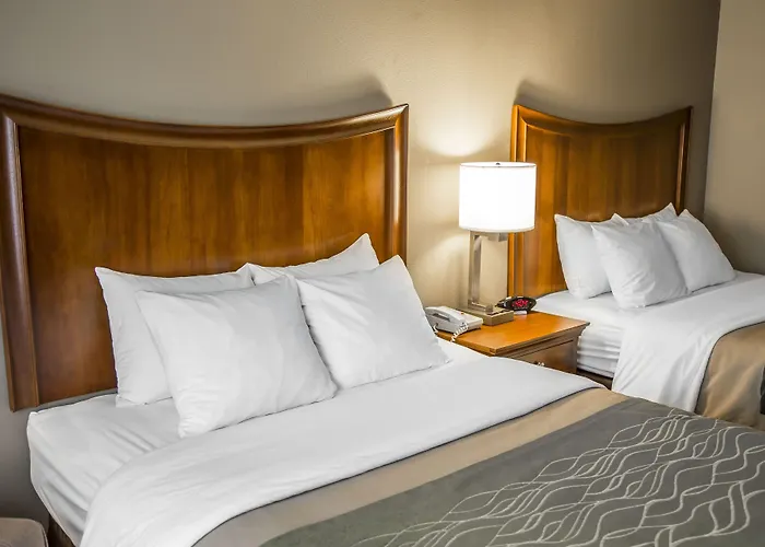 Quality Inn & Suites Bradford