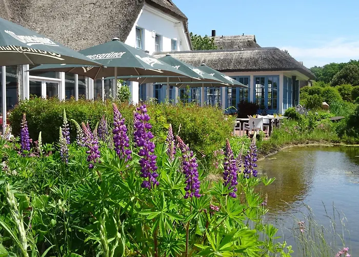 Landhotel Kastanienallee Putbus