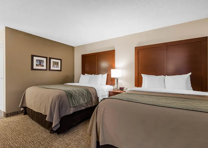 Comfort Inn & Suites Little Rock Airport