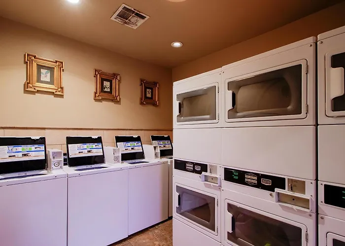 Oyo Pinewood Inn & Suites Silsbee