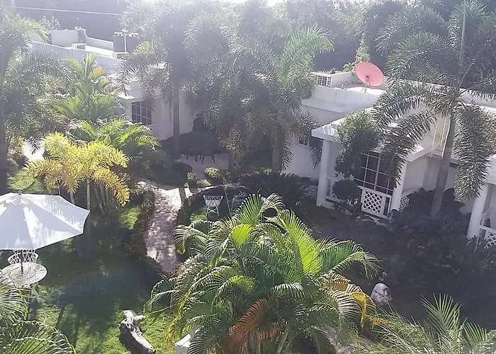 Hotel Daymond Blue Tropical Lodge