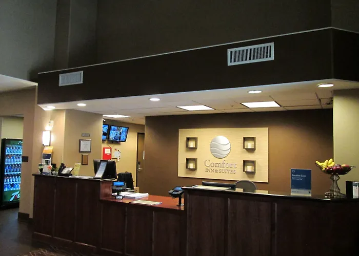 Comfort Inn & Suites Galt - Lodi North