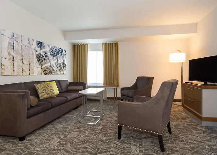 Springhill Suites By Marriott Charlotte Ballantyne