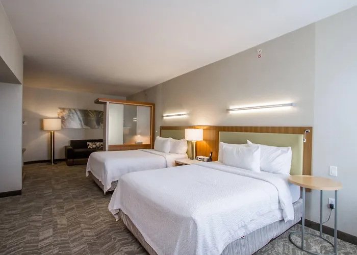 Springhill Suites By Marriott San Angelo