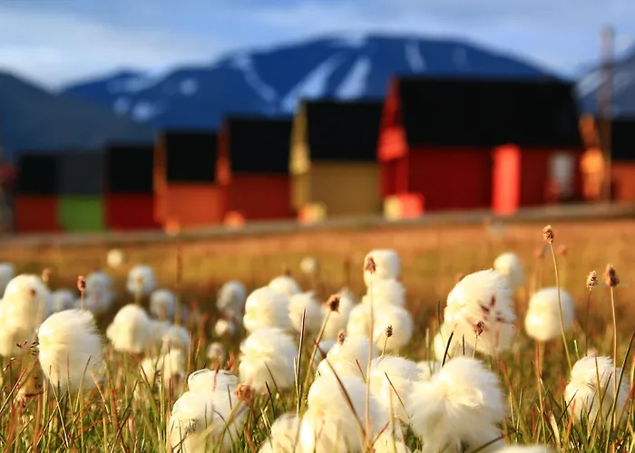 Svalbard Hotell | Polfareren