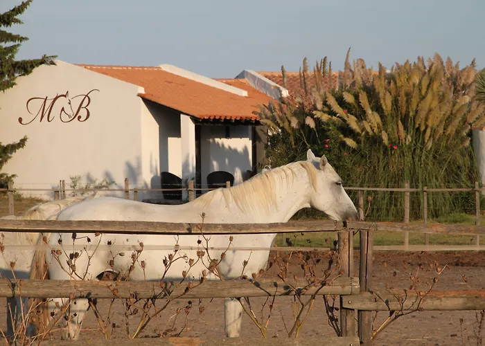 Hotel Mas Des Barres