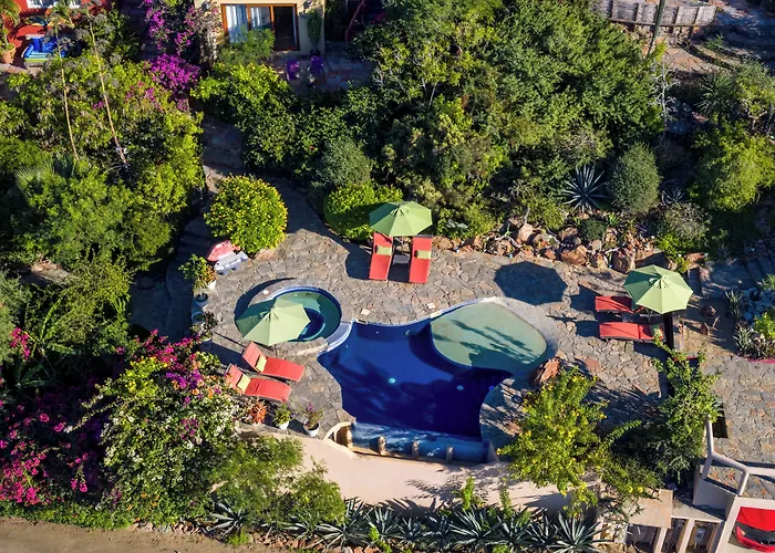 Los Colibris Casitas Todos Santos