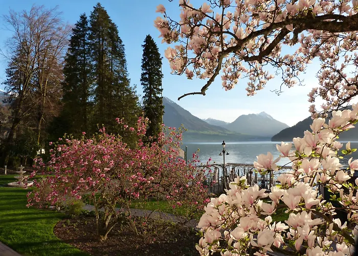 Hotel Vitznauerhof - Lifestyle Hideaway At Lake Lucerne