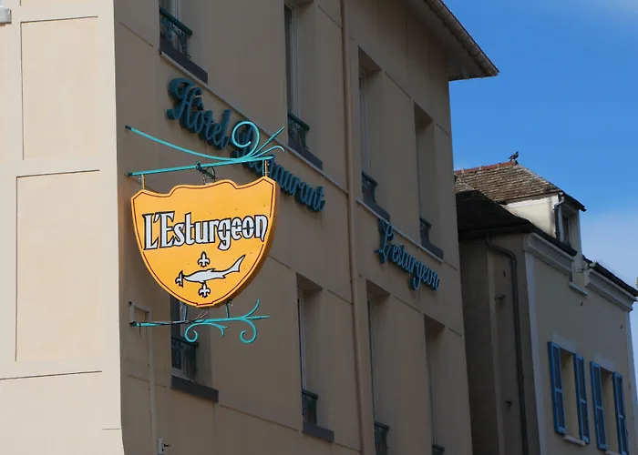 Hôtel L'Esturgeon