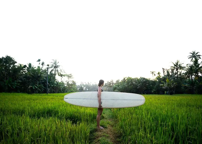 Utopia Varkala - Boutique Stay In Odayam Rice Fields