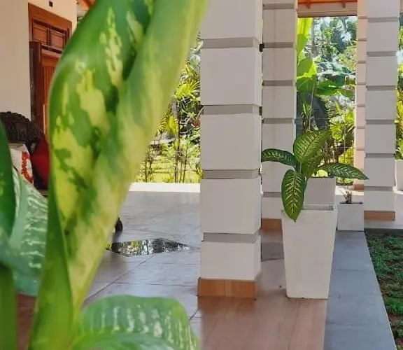 Serene Villa