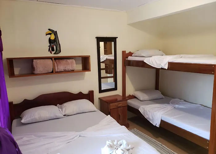 Cabinas Pura Vida B&B And Tour Operator