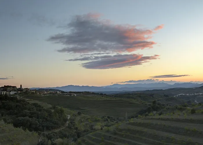 Trossos Del Priorat
