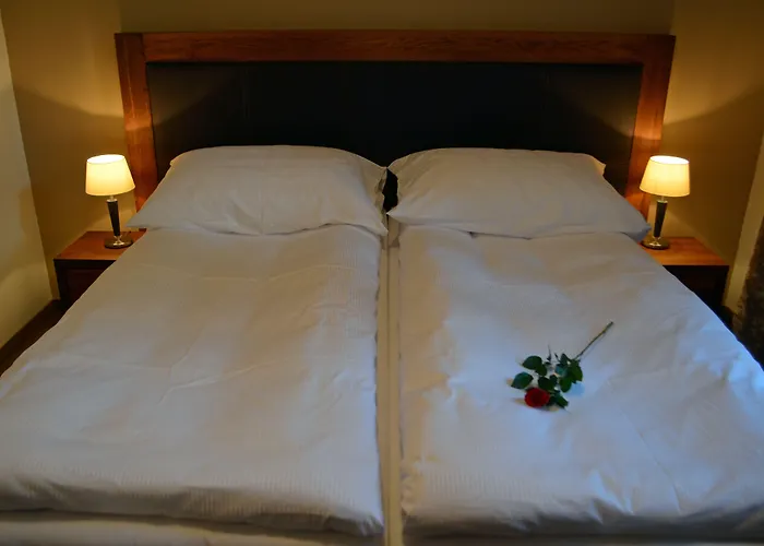 Hotel U Kvapilu
