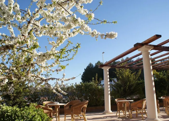 Hotel Patilla Ciudad De Requena