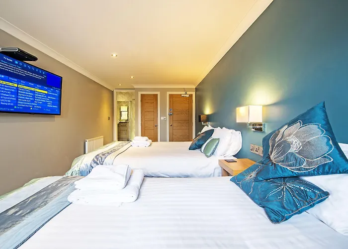 Dolphin Rooms
