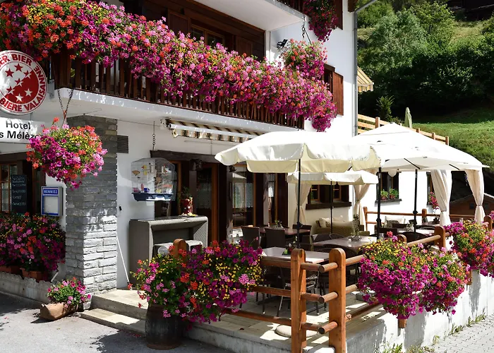 Hotel Les Mélèzes